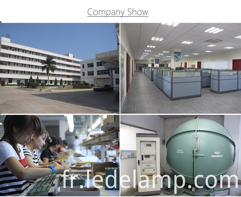 Popular 9W LED Globe Bulb with B22 E27 and 2 Years' Warranty (GHD-B0942-X20)